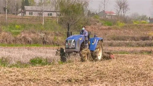 农情豪迈绘耕图 安陆春耕生产扫描中的农业机械服务新图景