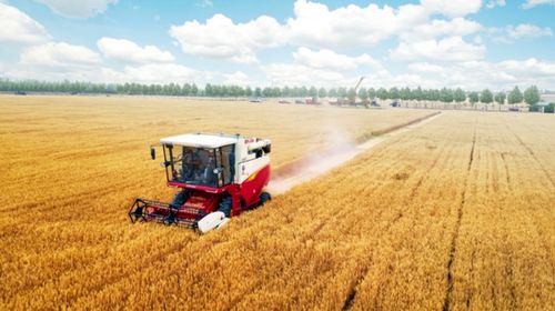 为决胜全面建成小康社会贡献农机力量——看农机龙头企业雷沃重工的“三农”担当与农业机械服务