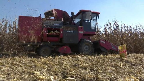 东丰县 农业机械化托管服务，省心又增收